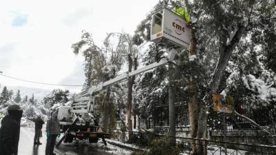 Σε δωρεά των τελών δικτύου διανομής για τα νοικοκυριά που έμειναν χωρίς ρεύμα προσανατολίζεται η ΔΕΗ (βίντεο)