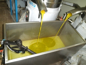 Εκλογές στο Σύνδεσμο Ελαιοτριβέων