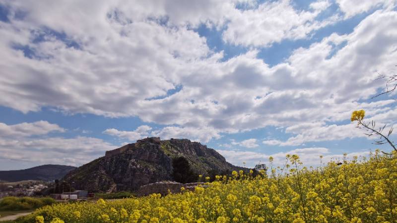 Το φως της ημέρας ενισχύει το ανοσοποιητικό σύστημα