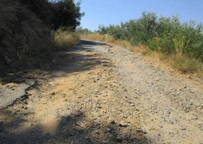 Δημοπράτηση δύο έργων αγροτικής οδοποιίας από τον Δήμο Καλαμάτας