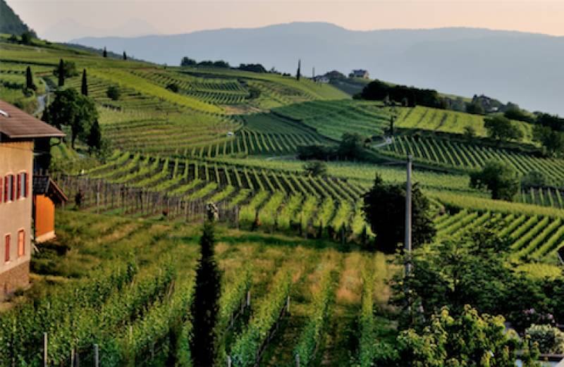 Διαδικτυακό σεμινάριο για Πολυλειτουργικά Αγροκτήματα