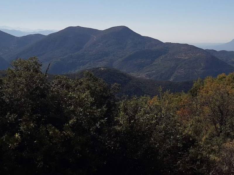 Να μπει τέλος στην εκκρεμότητα των δασικών χαρτών