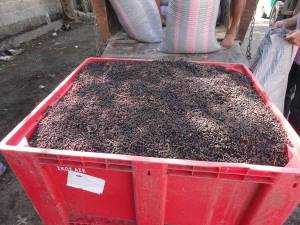 "Εκαναν φτερά" 20,8 τόνοι σταφίδα