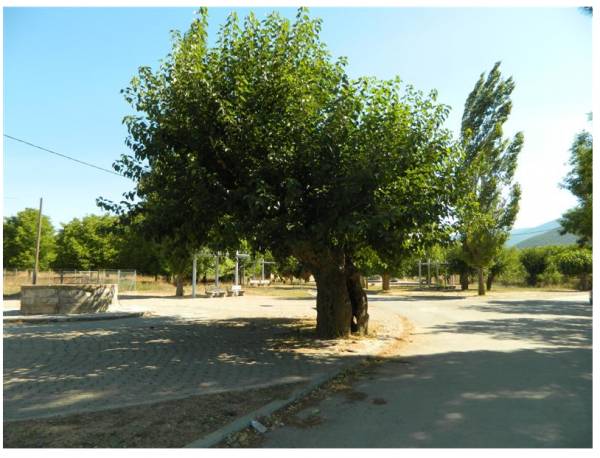 Αντάμωμα Μεσσηνίων την Παρασκευή στην Πολιανή