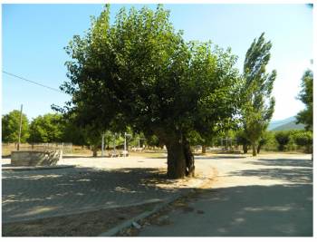 Αντάμωμα Μεσσηνίων την Παρασκευή στην Πολιανή