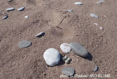 Οι πρώτες φωλιές καρέτα - καρέτα στον Κυπαρισσιακό Κόλπο