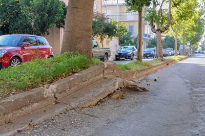 Ρίζες στο οδόστρωμα