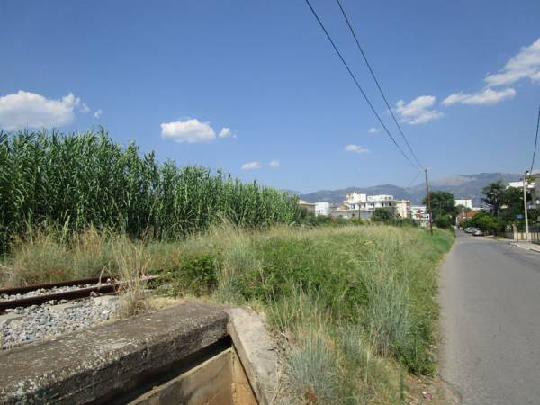 Οδός χορταριών