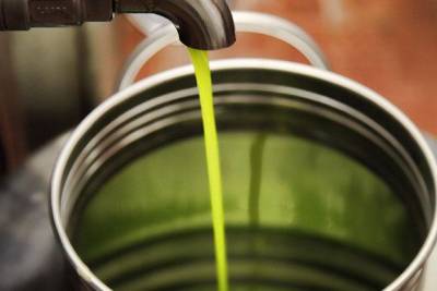 22 τόνους λάδι πουλάει ο συνεταιρισμός Πεταλιδίου