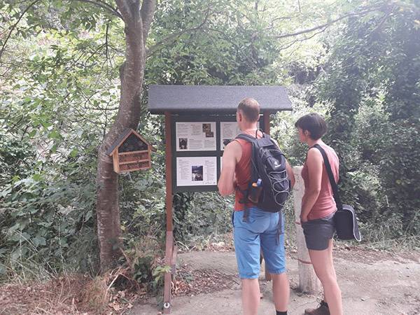 Συνδιάσκεψη για το ΟΧΕ Ταϋγέτου