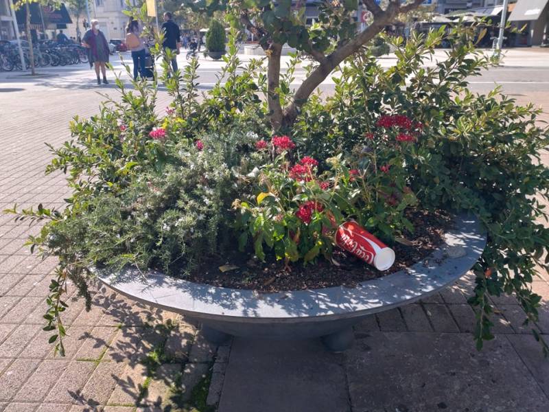 Σκουπίδια και στις ζαρντινιέρες