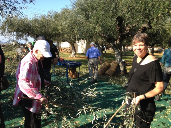 "Λιομάζωμα στη Μεσσηνία" από Δανούς επισκέπτες