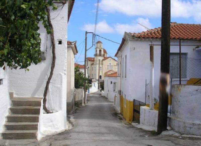 Συλλογή τροφίμων στο Βασιλίτσι