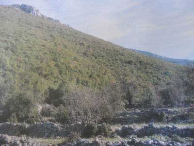 Ακύρωση απόφασης για λατομική περιοχή στην Πολιανή