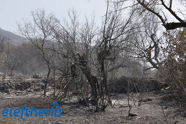 Ιεράρχηση αναγκών ή σπατάλη πόρων;