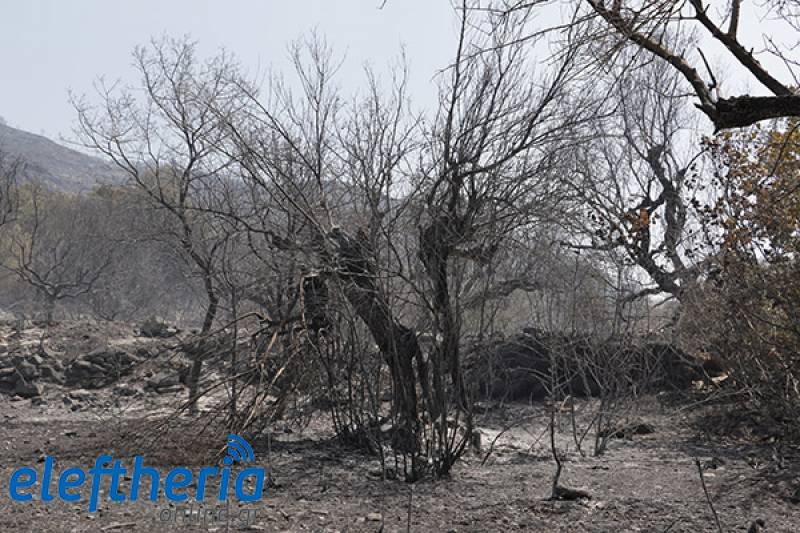 Ιεράρχηση αναγκών ή σπατάλη πόρων;