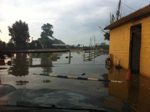 Φυγάδευσαν τα άλογα από τον Ιππικό Ομιλο λόγω της πλημμύρας