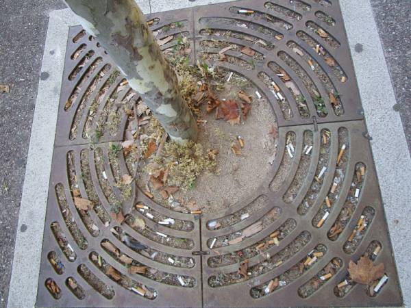 Αποτσίγαρα στα παρτέρια