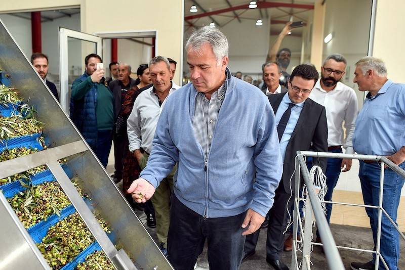 Ενίσχυση λόγω κορονοϊού σε επαγγελματίες αγρότες 30-54 ευρώ το στρέμμα σε ελαιοπαραγωγούς