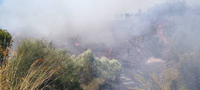 Οι ανομολόγητες αιτίες των μεγάλων πυρκαγιών