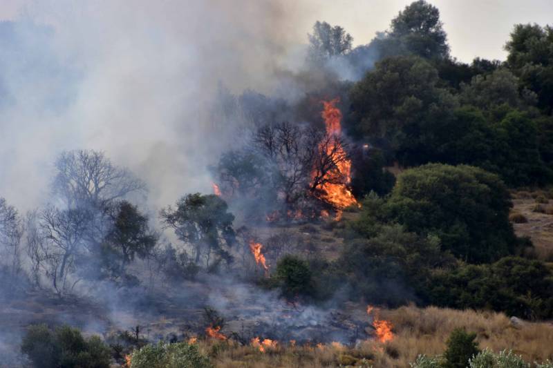 Κόκκινος συναγερμός για πυρκαγιά την Κυριακή σε Πελοπόννησο, Αττική και Εύβοια (χάρτης)