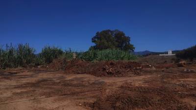 Φωτιά στο Αγροκήπιο Φιλιατρών