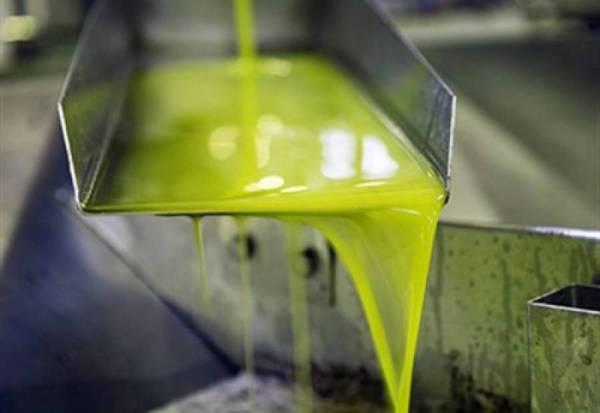 Εργατικά χέρια για την ελαιοσυγκομιδή