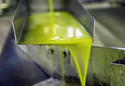 Εργατικά χέρια για την ελαιοσυγκομιδή