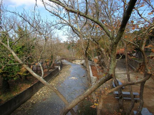 Νέες δράσεις από τον “Ευκλή”