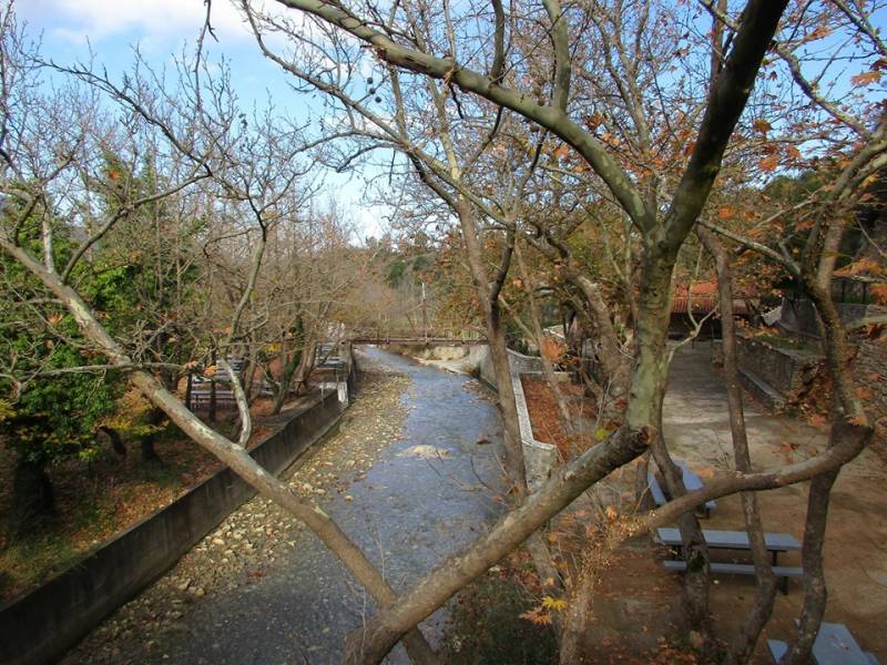 Νέες δράσεις από τον “Ευκλή”