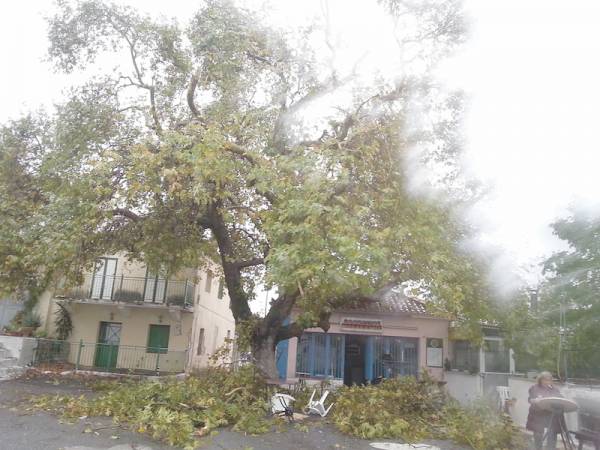 Μεσσηνία: Ζημιές από ανεμοστρόβιλο σε Κουτήφαρη και Χορεύτρα