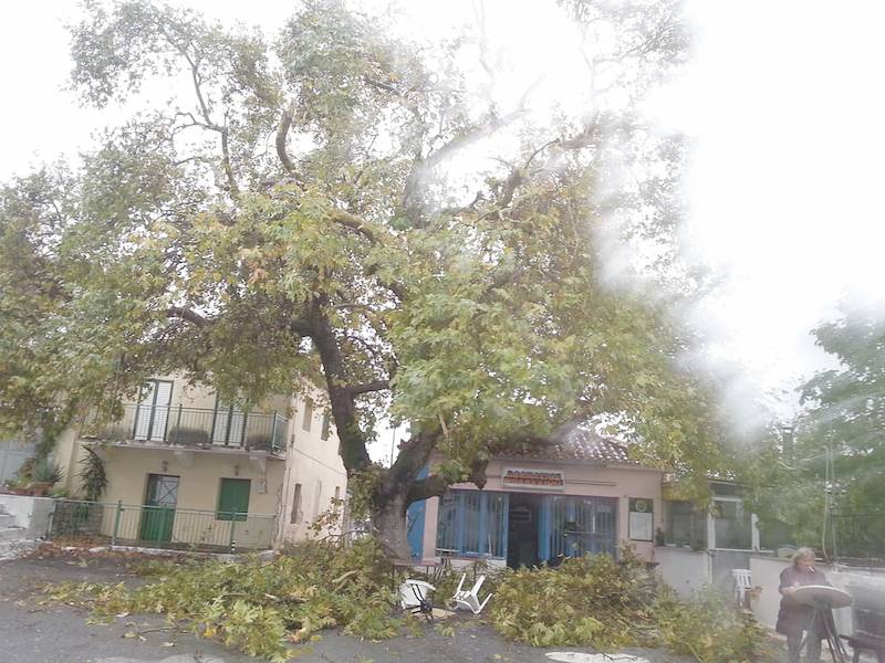 Μεσσηνία: Ζημιές από ανεμοστρόβιλο σε Κουτήφαρη και Χορεύτρα