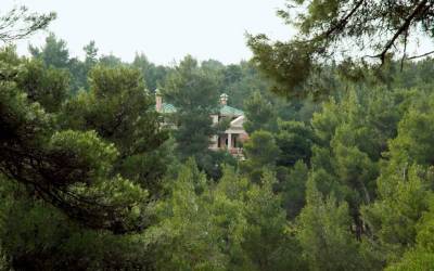 Ο Τατούλης για τους δασικούς χάρτες