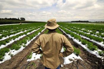 14,6 εκατ. ευρώ σε 848 νέους αγρότες της Πελοποννήσου