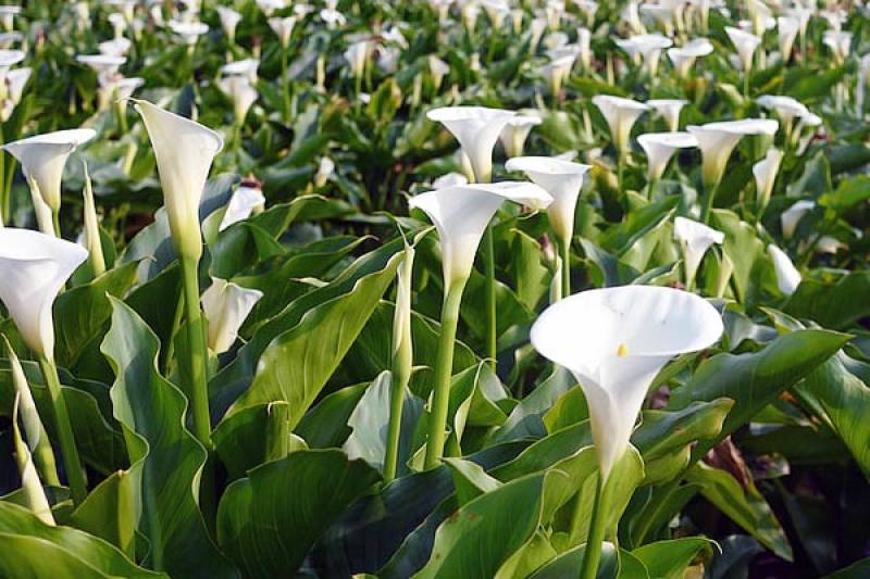 Αστρολογία – 25/03/2023