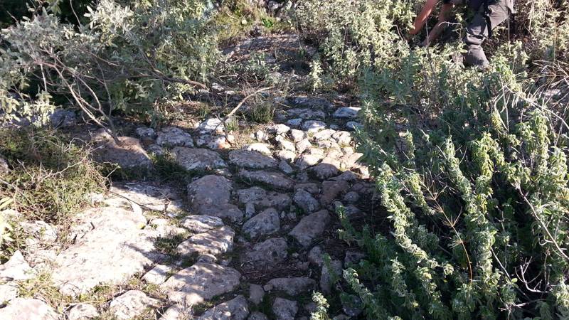 Απόφαση για λιθόστρωτο μονοπάτι της Βέργας