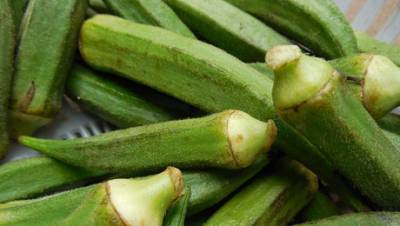 Η Γιορτή Μπάμιας σήμερα στους Αρμενιούς