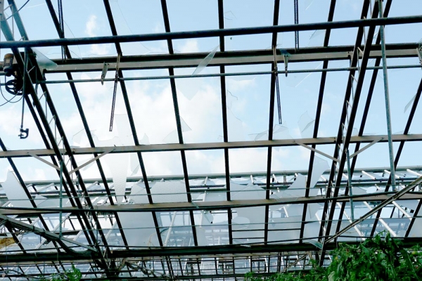 Σήκωσαν τον εξοπλισμό μεγάλου θερμοκηπίου κοντά στην Μπιρμπίτα