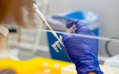 Ανεμοβλογιά τελικά το ύποπτο κρούσμα για ευλογιά των πιθήκων