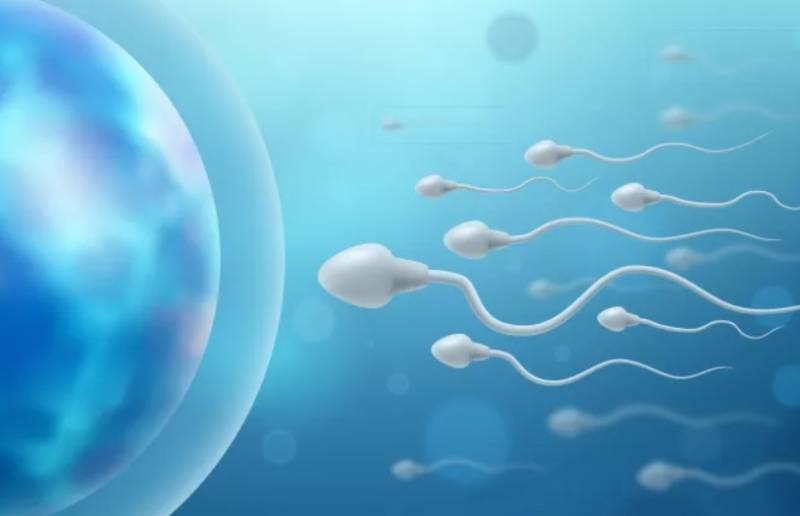 Αυξάνεται δραματικά η πρόωρη ωοθηκική ανεπάρκεια σε γυναίκες κάτω των 40 ετών