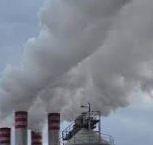 Εισαγγελική έρευνα για τα πυρηνελαιουργεία