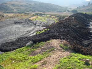 Οικολογική Κίνηση Καλαμάτας: Μία αναδρομή στην ιστορία της ρύπανσης των ελαιοτριβείων στο Νομό Μεσσηνίας