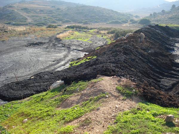 Οικολογική Κίνηση Καλαμάτας: Μία αναδρομή στην ιστορία της ρύπανσης των ελαιοτριβείων στο Νομό Μεσσηνίας