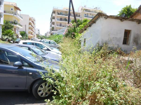 Θέριεψαν τα χορτάρια