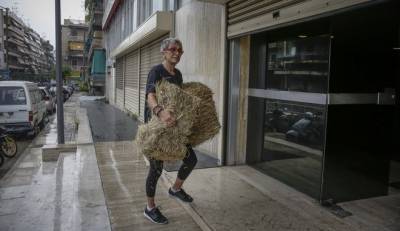 Επίθεση με... σανό στα γραφεία των ΑΝΕΛ