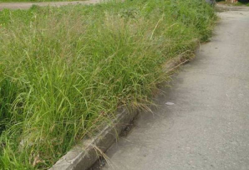 Πρόστιμα σε ακαθάριστα οικόπεδα στη Μεσσήνη