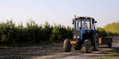 Πληρωμές 487,9 εκατ. από ΟΠΕΚΕΠΕ και ΕΛΓΑ σε 485.896 μοναδικούς δικαιούχους