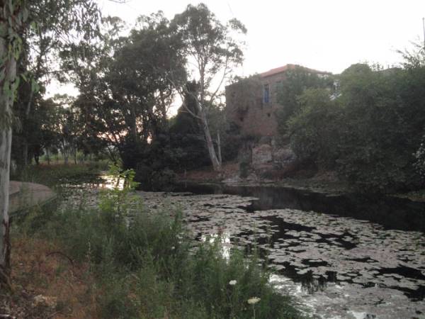 Αγιος Φλώρος (πηγές)