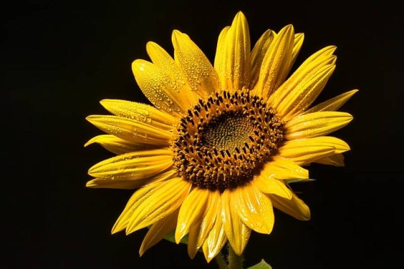 Αστρολογία – 19/08/2023