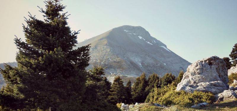 Εύβοια: Εντοπίστηκε σώος ο 36χρονος περιπατητής